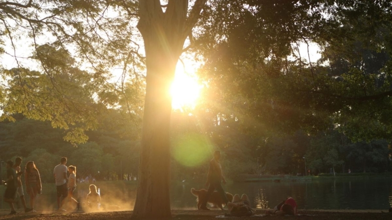 Parque Ibirapuera lança plataforma exclusiva para frequentadores