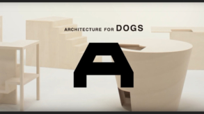Conheça a exposição “Arquitetura para Cães” na Japan House São Paulo