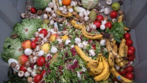 Aplicativo busca reduzir o desperdício de alimentos por meio de doações