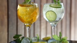 Boteco Todos os Santos revela receitas de drinks refrescantes pra você fazer em casa