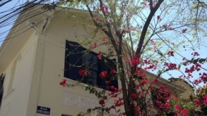 Residência que abriga o museu Casa Mário de Andrade completa 100 anos