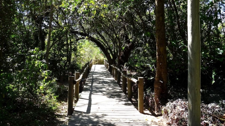 Conheça o Parque Ecológico do Guarapiranga
