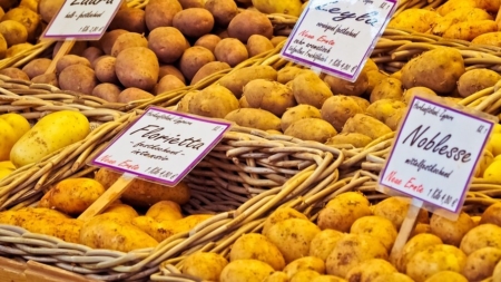 Shoppings paulistanos sediam feiras de alimentos saudáveis