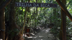 8 trilhas incríveis em São Paulo para se reconectar com a natureza!