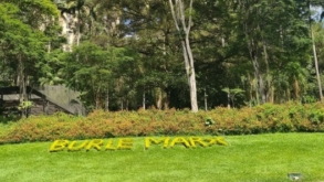 Parque Burle Marx ganha livro contando sua história