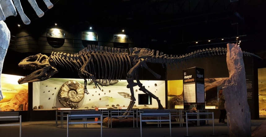 Exposição inédita com esqueletos e fósseis originais de dinossauros vem a São Paulo