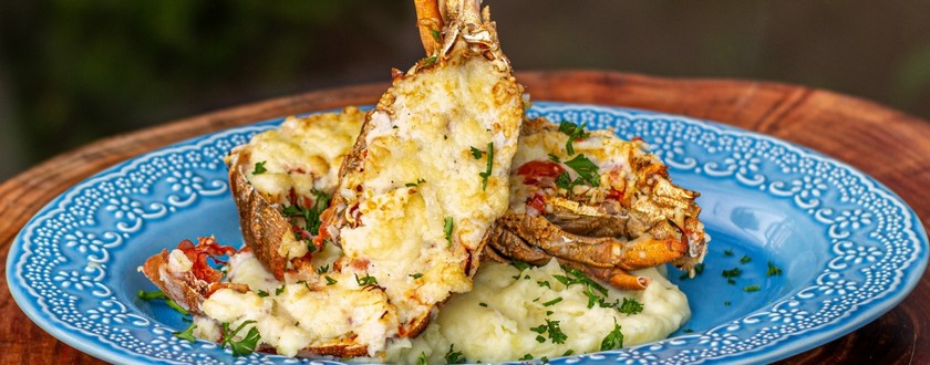 Pratos do Dia são novidade do Festival do Pescado e Frutos do Mar Ceagesp – edição de Verão