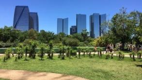 Parque do Povo, um reduto de lazer, esporte e natureza em São Paulo