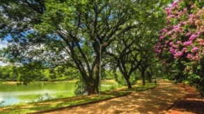 Saiba quais são os 10 parques paulistanos mais visitados em 2023