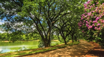 Saiba quais são os 10 parques paulistanos mais visitados em 2023