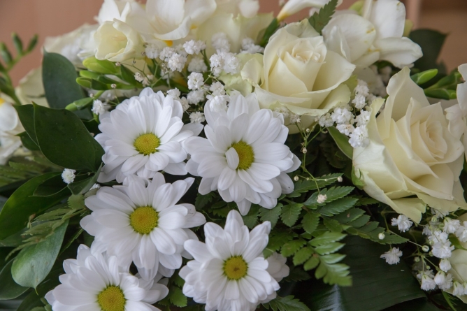 Quais os 7 Tipos de Flores para Velório?