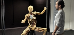 São Paulo recebe exposição internacional ‘Corpo Humano’ até agosto